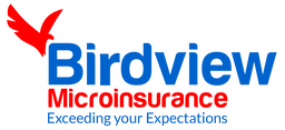Birdview Insurance